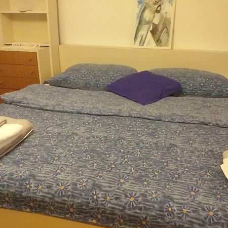 Apartment Primceva Maribor Bagian luar foto